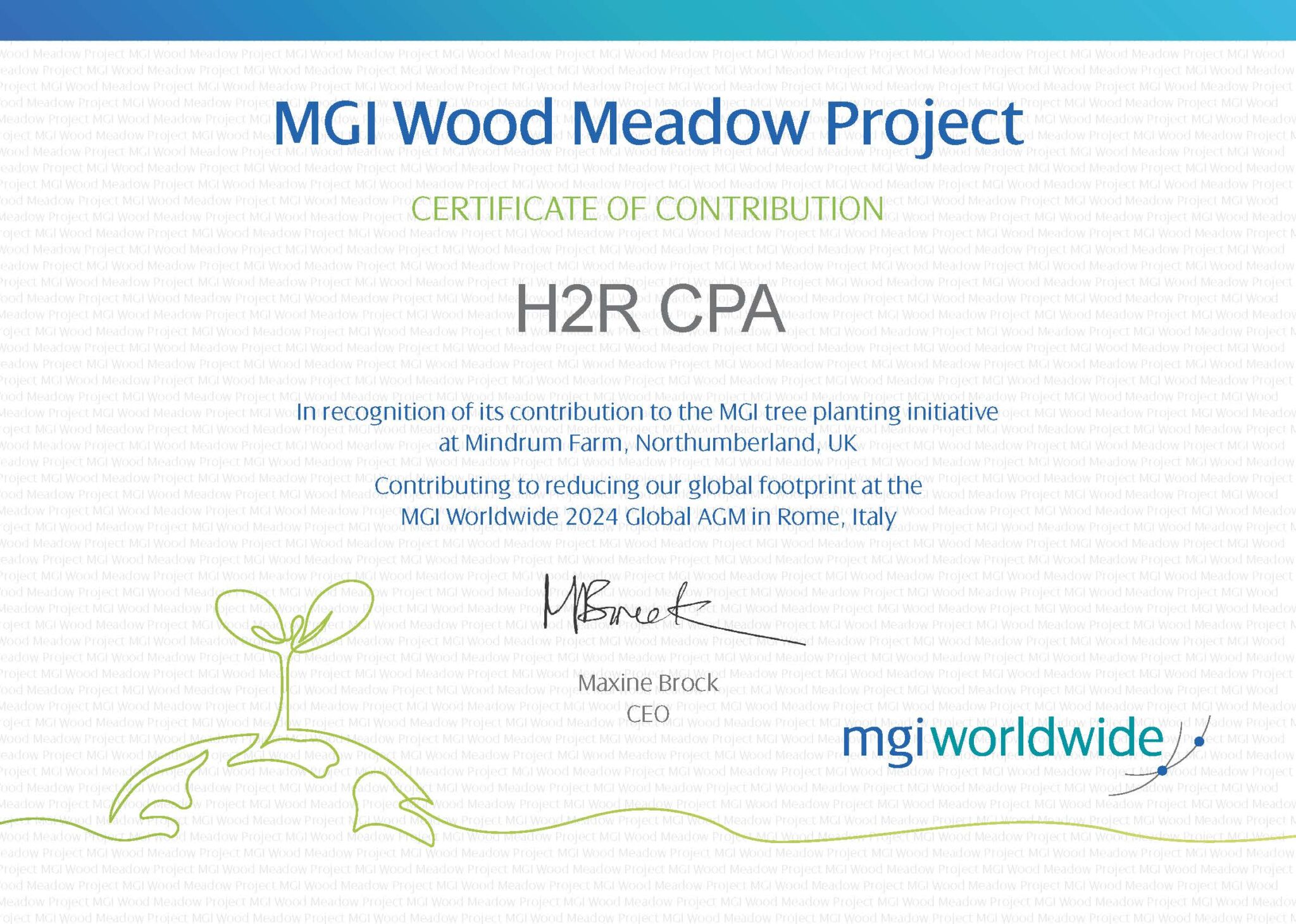 MGI Wood Meadow Project