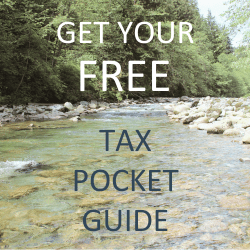 GET YOUR FREE TAX POCKET GUIDE - 4